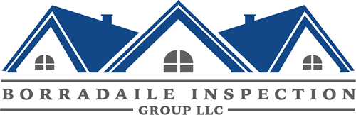 Borradaile Inspection Group, LLC
